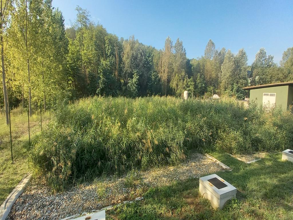 Grande impianto di fitodepurazione 1400 mq cantina Araldica, Monferrato
